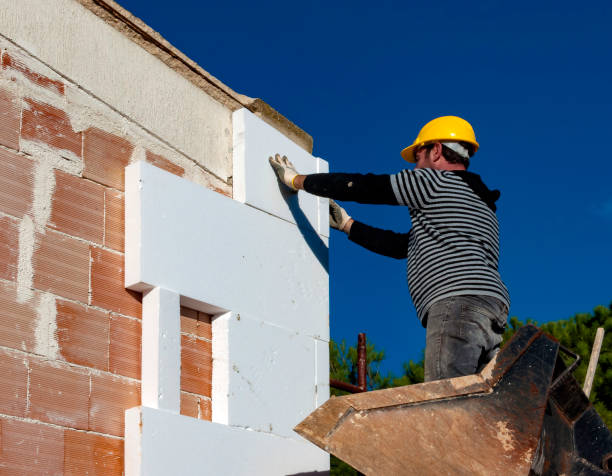 Insulation Inspection Services in Rochelle, GA