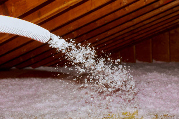 Best Insulation Contractors for Homes  in Rochelle, GA