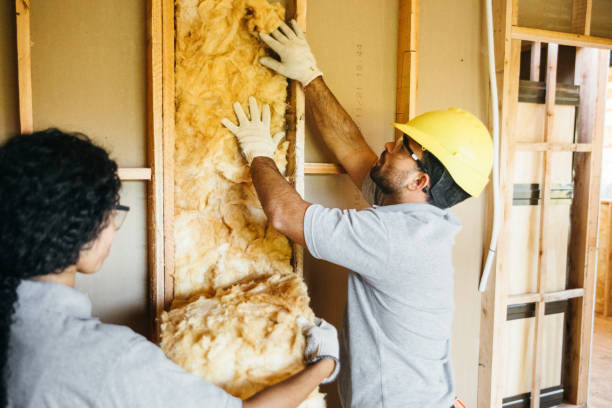 Best Insulation for New Construction  in Rochelle, GA
