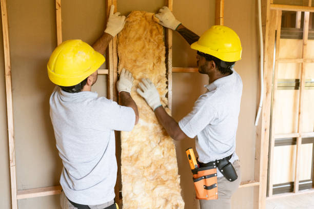 Best Insulation Repair Services  in Rochelle, GA