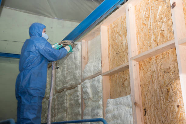Best Local Insulation Services  in Rochelle, GA